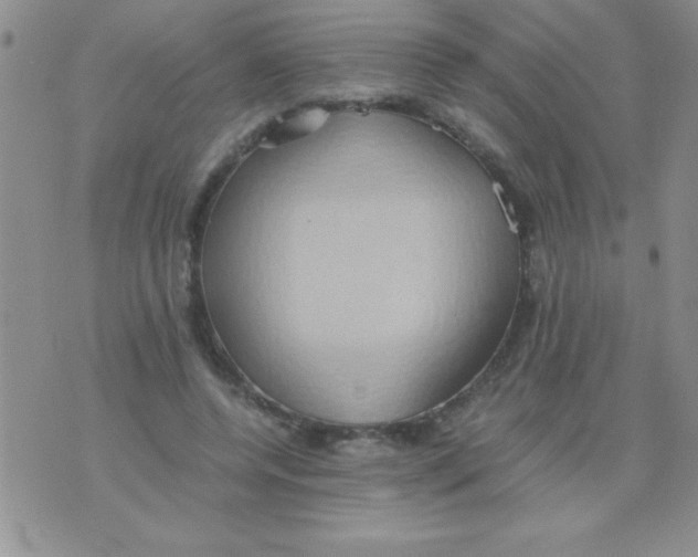 X0000075890544200610062055