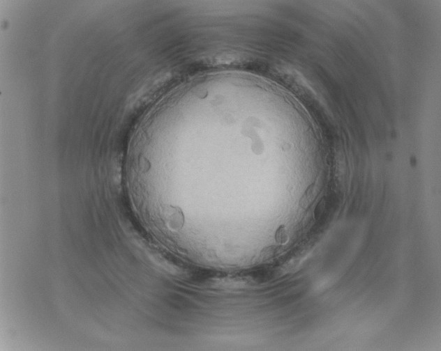 X0000075890545200610062055