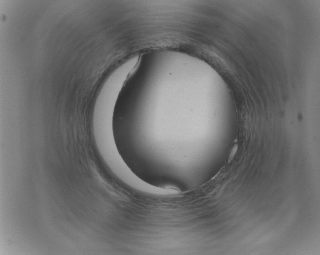 X0000075890546200610062055