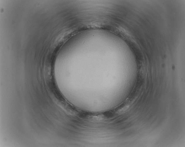 X0000075890548200610062055