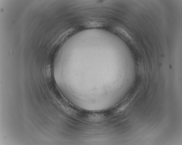 X0000075890549200610062055