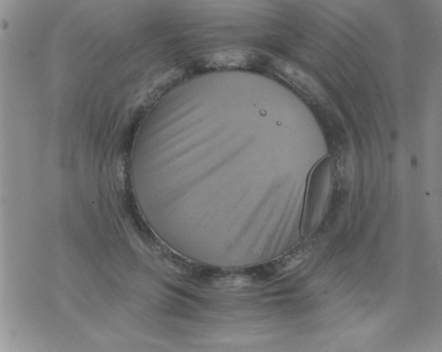 X0000075890551200610062055