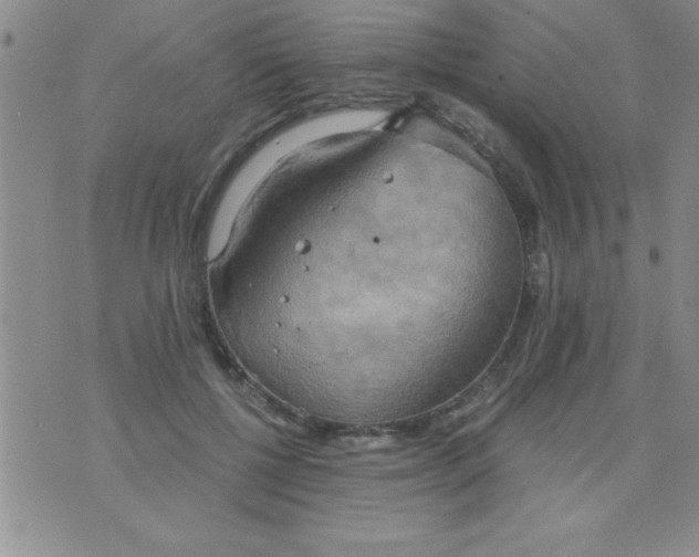 X0000075890552200610062055