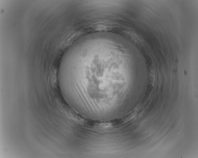 X0000075890554200610062055