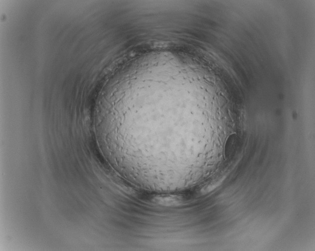 X0000075890557200610062055