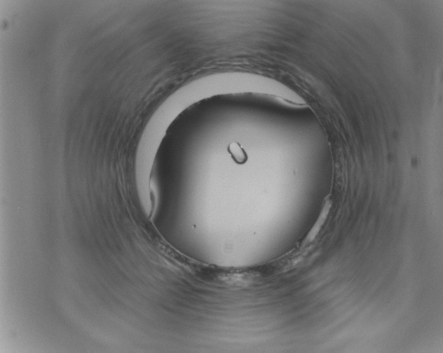 X0000075890558200610062055