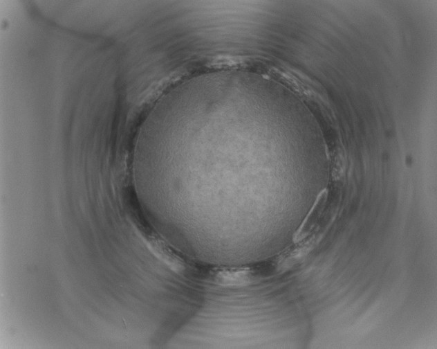 X0000075890560200610062055