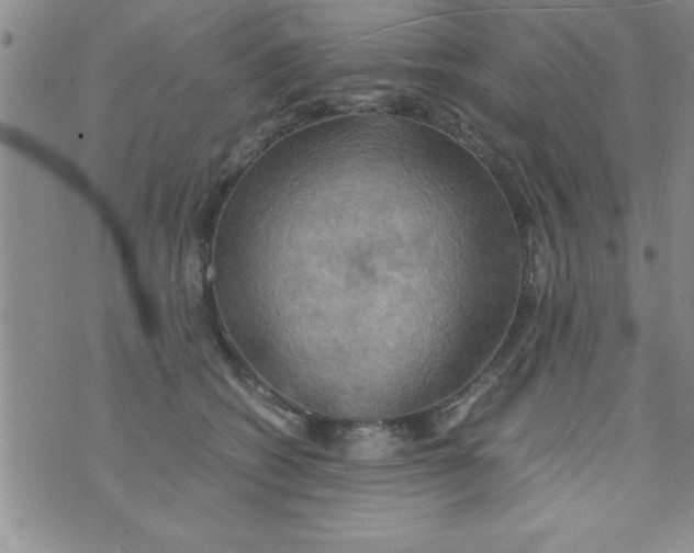 X0000075890562200610062055