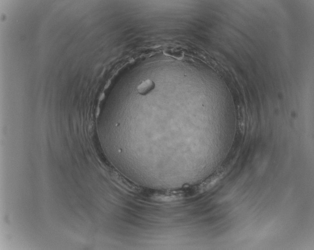 X0000075890563200610062056