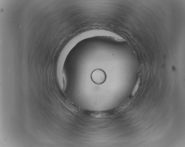 X0000075890564200610062056