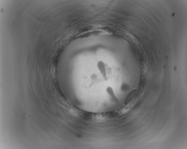 X0000075890565200610062056