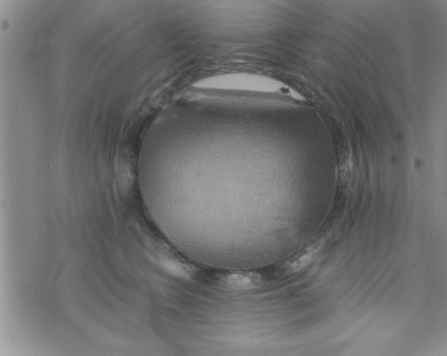 X0000075890566200610062056