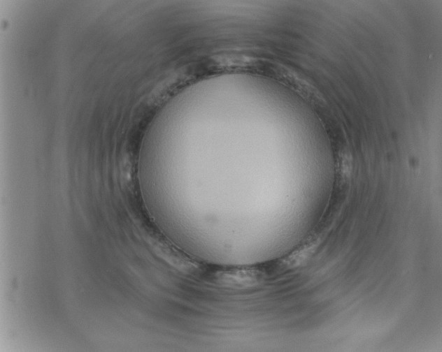 X0000075890567200610062056