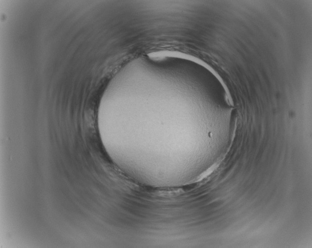 X0000075890571200610062056