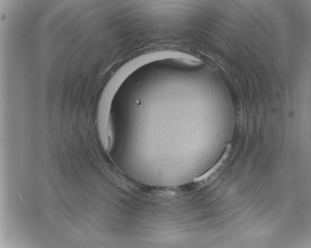 X0000075890572200610062056