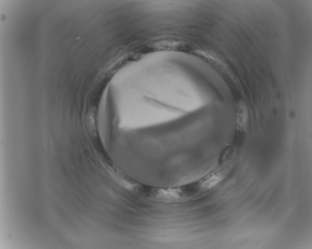 X0000075890573200610062056