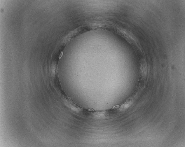 X0000075890574200610062056