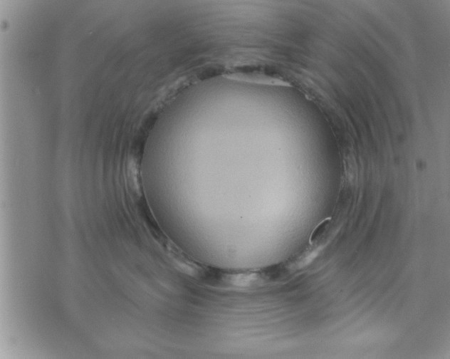 X0000075890575200610062056