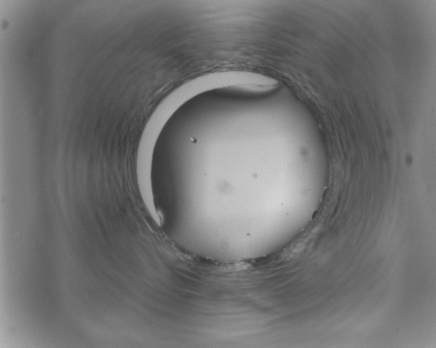 X0000075890576200610062056