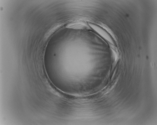 X0000075890577200610062055