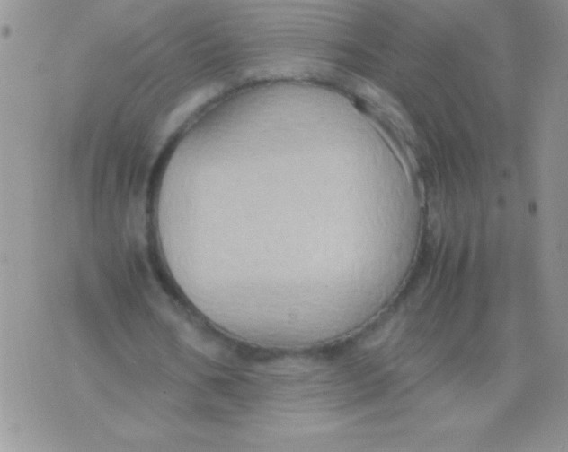 X0000075890578200610062055