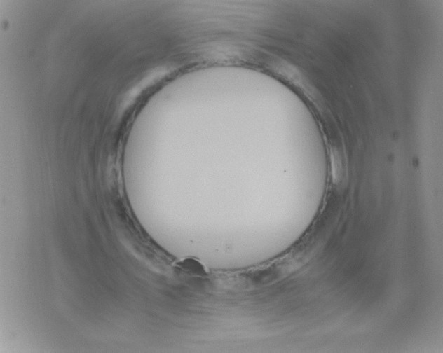 X0000075890579200610062055