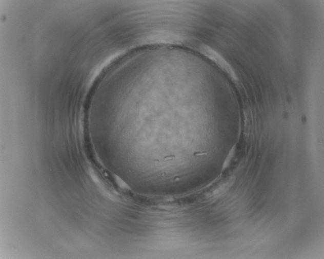 X0000075890580200610062055