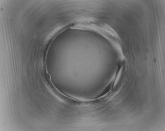 X0000075890581200610062055