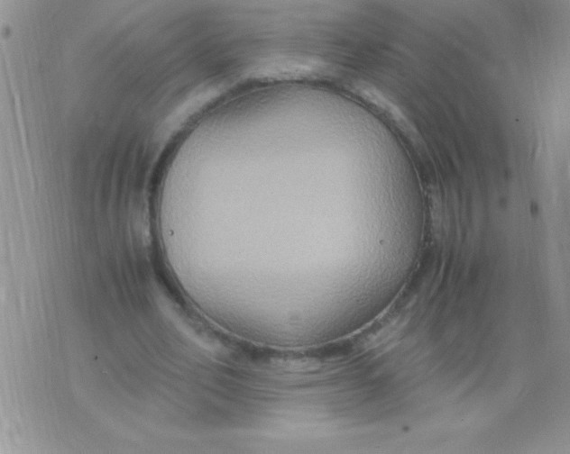 X0000075890582200610062055