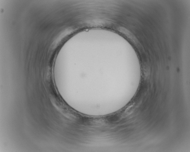 X0000075890583200610062055