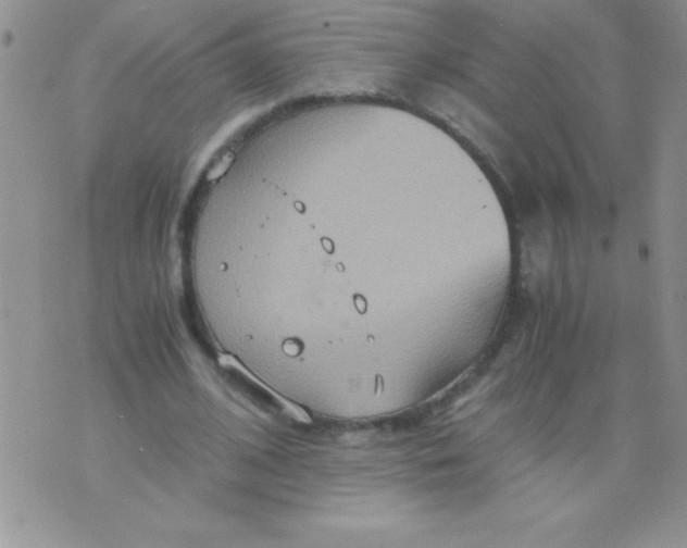 X0000075890584200610062055