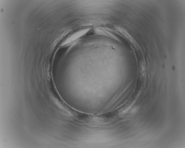 X0000075890585200610062055