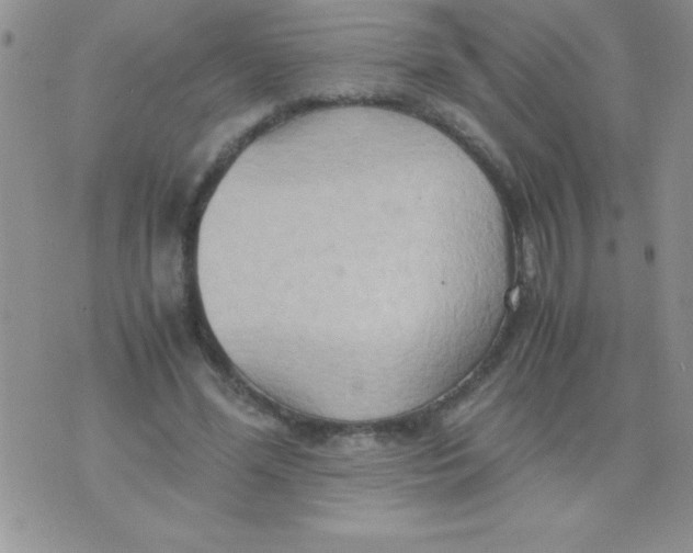 X0000075890588200610062055