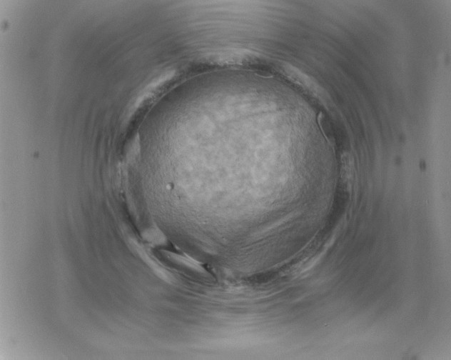 X0000075890589200610062055