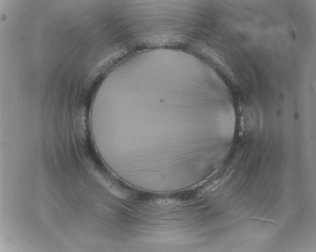 X0000075890590200610062055