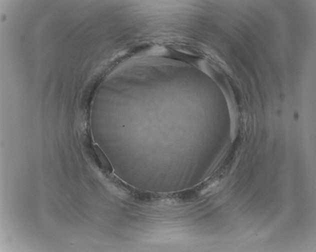 X0000075890593200610062055