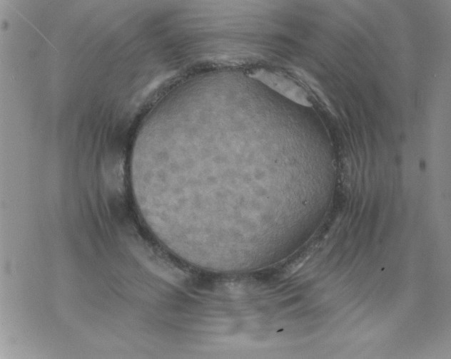 X0000075890596200610062055