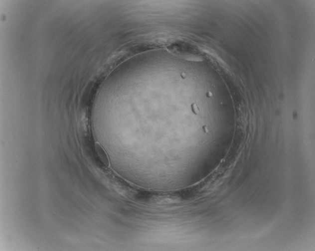 X0000075890597200610062055