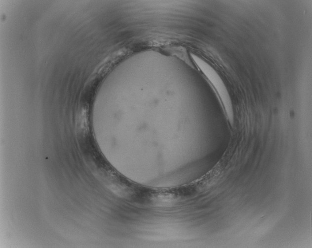 X0000075890598200610062055