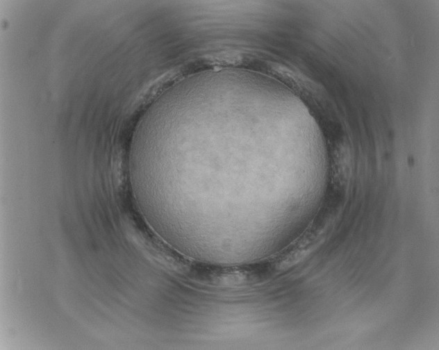 X0000075890600200610062055