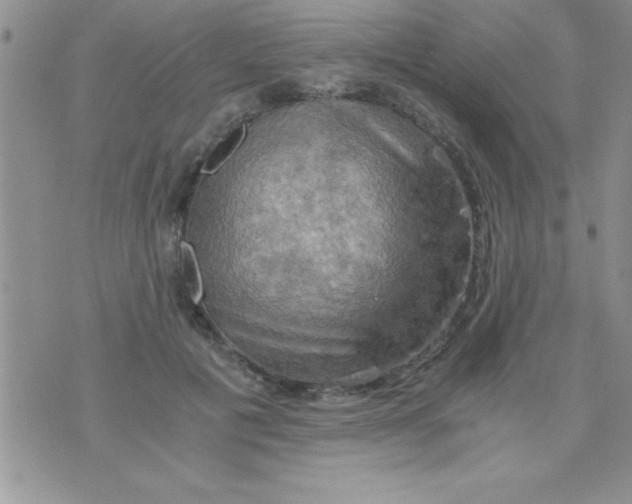 X0000075890601200610062055