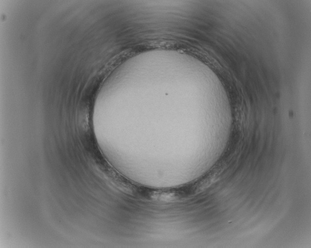 X0000075890602200610062055