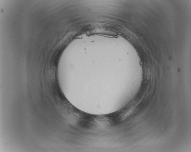 X0000075890603200610062055