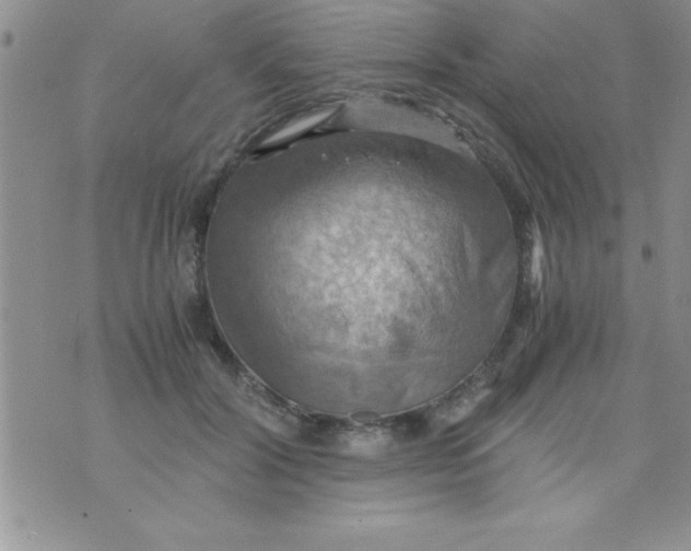 X0000075890604200610062055