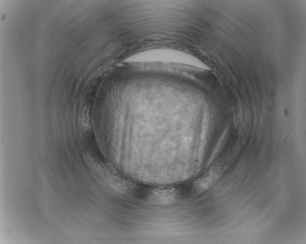 X0000075890606200610062054