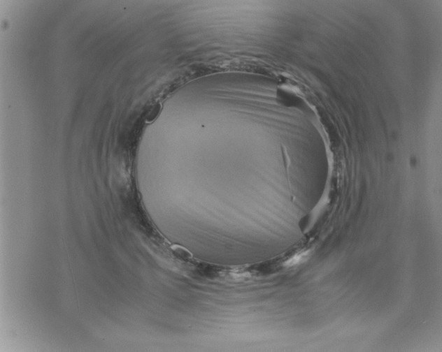 X0000075890607200610062054