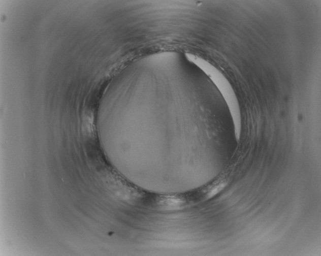 X0000075890610200610062054