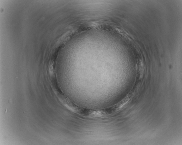 X0000075890611200610062054