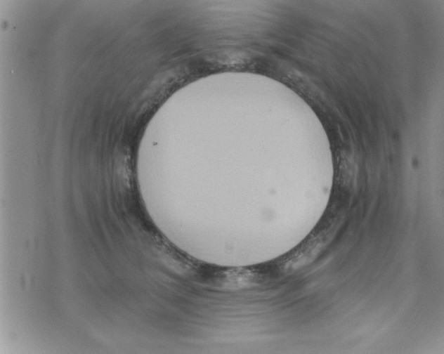 X0000075890612200610062054