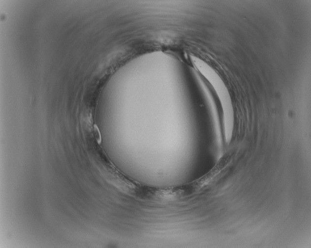 X0000075890613200610062054